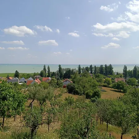 Panoramic House In *