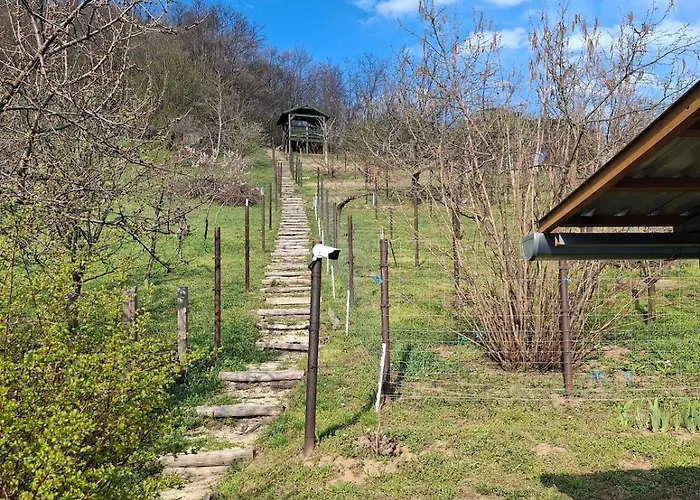 Panoramic House In Feriehus